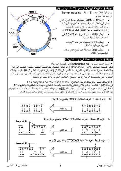 الهندسة الوراثية مبادئها وتقنياتها وثائق AlloSchool