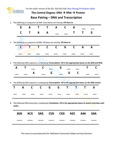 Free Collection Of Dna Base Pairing Worksheets For Teaching