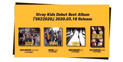 Skz2020 Wiki Stray Kids Amino