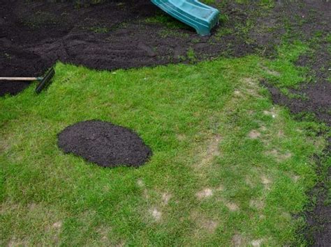 Ironite For Lawns Benefits When How To Use It Lawn Model