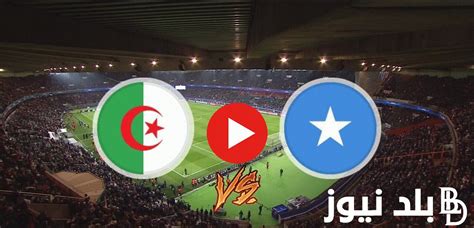 Algeria Vs Somalia استقبل القنوات الناقلة لمباراة الجزائر والصومال