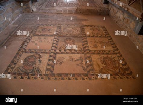 Mosaics On The Floor Of The House Of Dionysos Roman Villa At Paphos