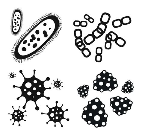 Bacteria Clipart Black And White