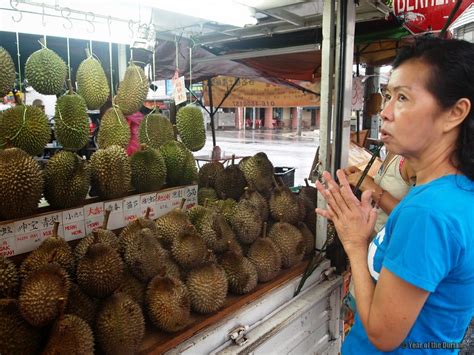 Makan Duren Di Penang Cynthia Myers