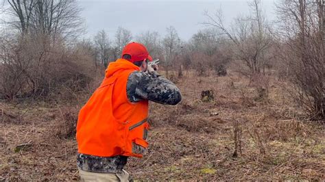 Pheasants DOWN Tower Shoot Pheasant Hunting YouTube