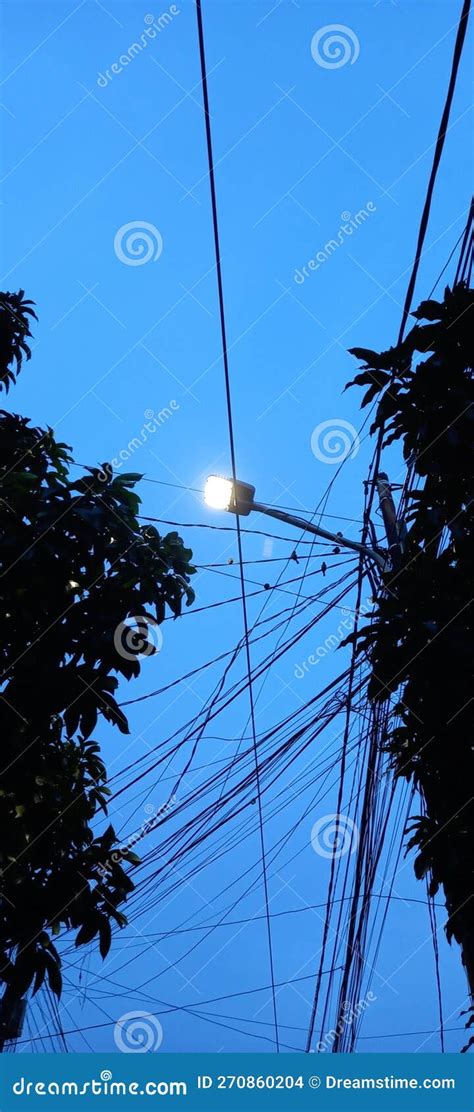 Birds are Sitting on the Power Lines Stock Photo - Image of line ...