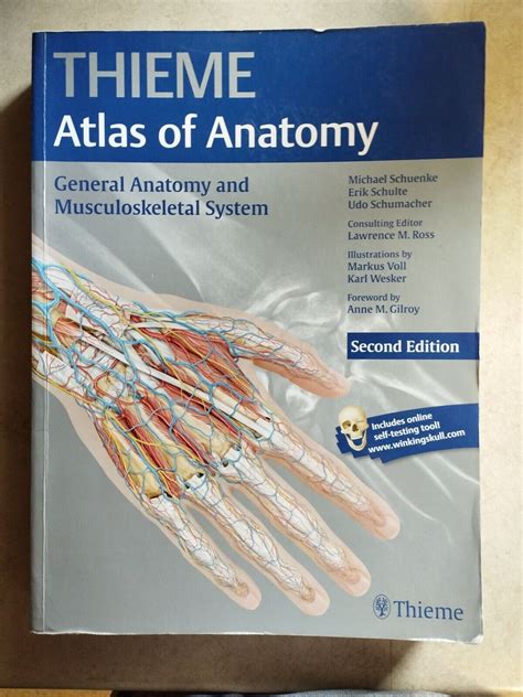 General Anatomy And Musculoskeletal System Thieme Atlas Of Anatomy By M