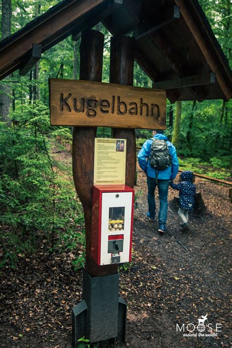 Auf Dem Holzweg In Baiersbronn Abenteuerwanderung F R Familien