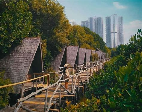 10 Indonesia Mangrove Forests Open for Tourists | Authentic Indonesia Blog