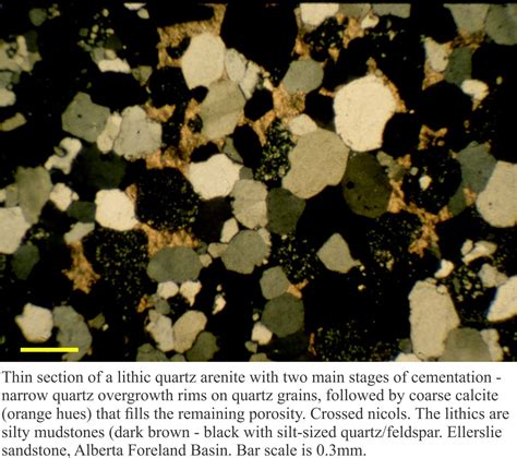 Studii Sociale Handicap Galop Types Of Cement In Sandstones At