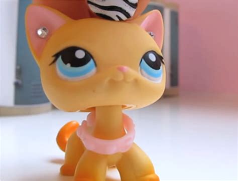 Lps Popular Lps Littlest Pet Shop Lps Pets