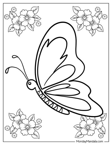 Colouring Butterfly Coloring Printable Pages Butterflies Adult Sheets