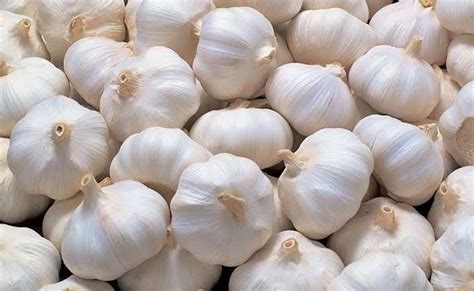 Fresh Bawang Garlic 1 Kilo Lazada Ph