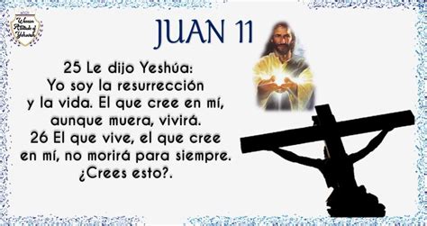 Juan Capítulo 11 Mosqueteros de Yehovah