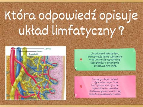 Układ limfatyczny biologia kl 7 Test