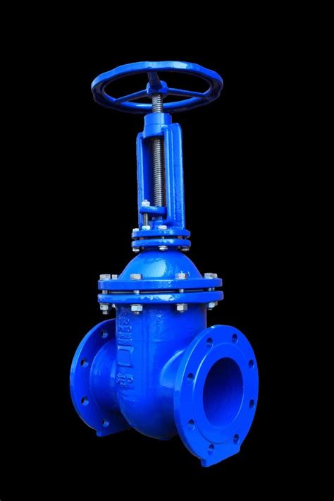 Landt Wcb 2 To 24 Inch Gate Valve At Rs 10003 Landt Gate Valve In Thane Id 2851782605055