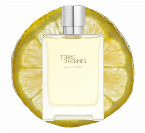 Nước Hoa Hermes Terre Dhermès Eau Givrée Edp