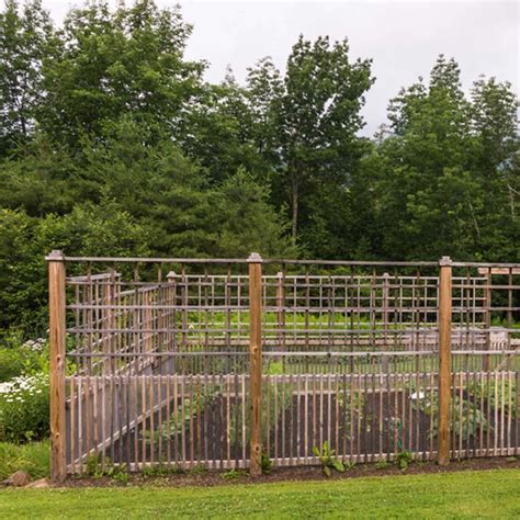 How To Keep Squirrels Out Of A Raised Garden Bed Fasci Garden