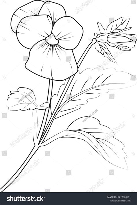 Easy Flower Drawing: Over 31,298 Royalty-Free Licensable Stock ...