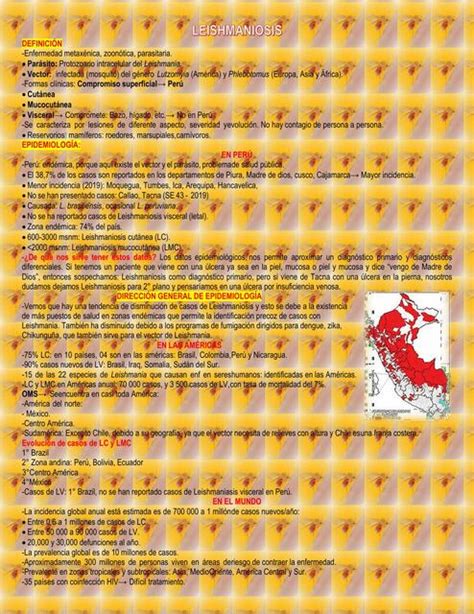 Leishmaniasis Mishelle Chavez UDocz