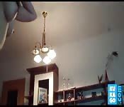 Novia Amateur Chupando Y Follando Canalporno