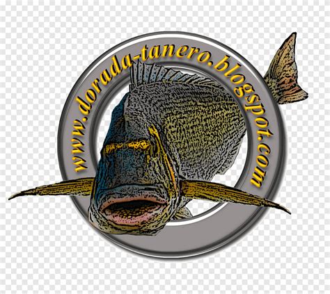 Descarga Gratis Pesca Pesca Surf Anzuelo Gancho Dorado Captura Y