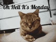 Monday Left Me Broken Cat Cat Singing GIF – Monday left me broken cat ...