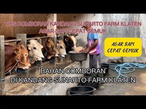 Review Bahan Comboran Yang Digunakan Di Kandang Sapi SUNARTO FARM