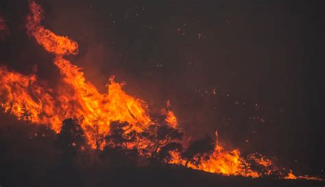 Gelombang Panas Picu Kebakaran Hutan Di Yunani Foto Liputan