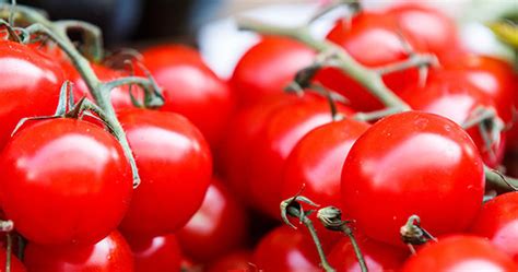 Tomato Les Jardins Du Boisclair