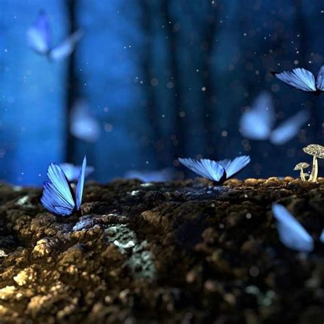 Unlocking The Magic Of Butterfly Symbolism And Spirituality