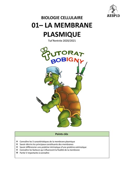 Membrane Plasmique Notes De Cours Biologie Cellulaire La