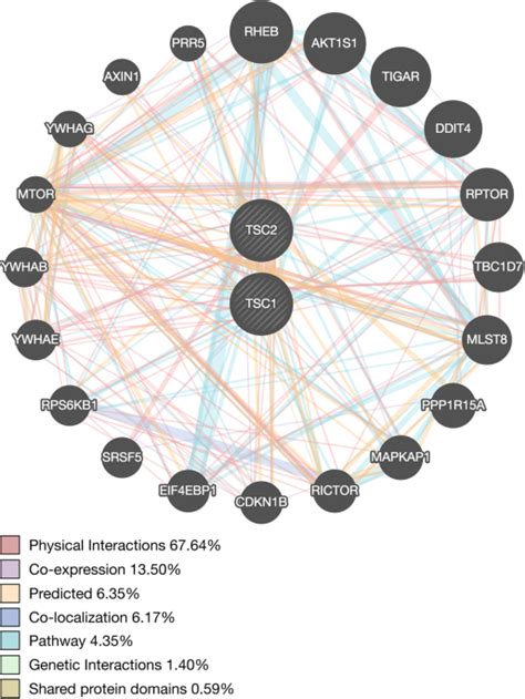 Regionally Specific Tsc1 And Tsc2 Gene Expression In Tuberous Sclerosis