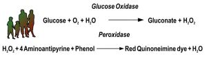 Sugar Test Method Principle Results And More Lab Tests Guide