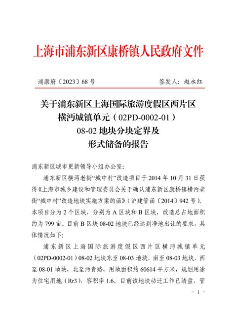 关于浦东新区上海国际旅游度假区西片区横沔城镇单元（02pd 0002 01）08 02地块分块定界及形式储备的报告发展规划