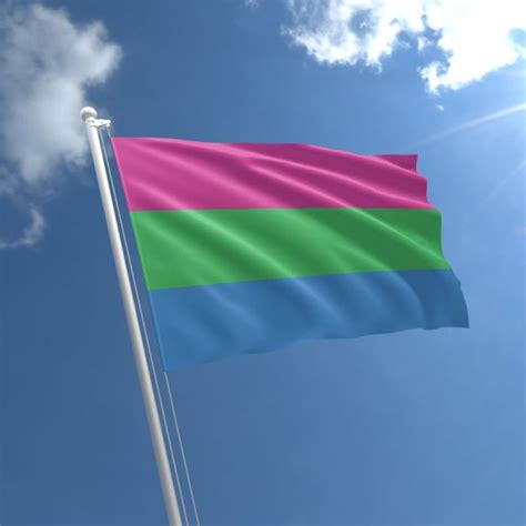 Polysexual Flag Polysexual Flag For Sale The Flag Shop