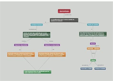 Elabora Un Mapa Conceptual Sobre Los Componentes De La Conducta Humana Teniendo En Cuenta