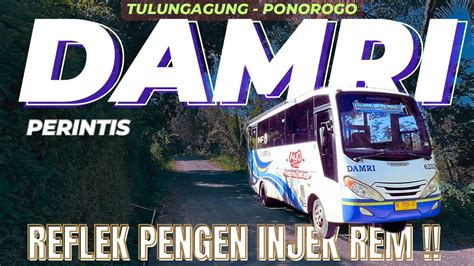 Tarif Cuma Rute Unik Di Lingkar Gunung Wilis Damri