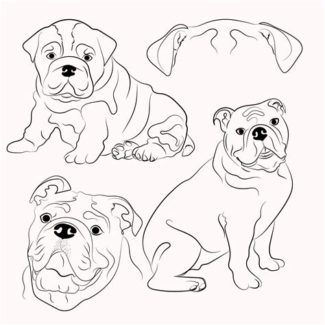 English Bulldog Svg Masterbundles