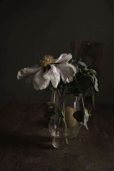 Pin Di Armando Tamagnone Su Natura Morta Still Life Light Paiting