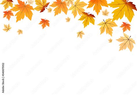 Autumn Foliage Png On Isolated Transparent Background Abstract