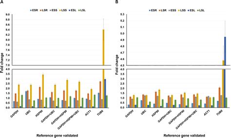 Frontiers Selection And Validation Of Housekeeping Genes As Reference