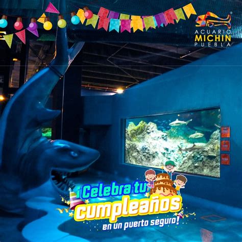 Acuario Michin Puebla Horario | La Acuario