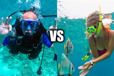 Snorkeling Vs Scuba Diving Ultimate Gear Lists