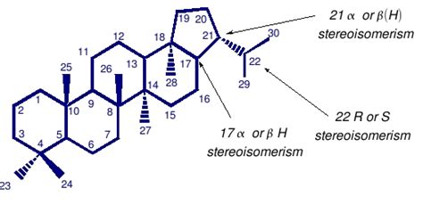 Hopanoids - Alchetron, The Free Social Encyclopedia