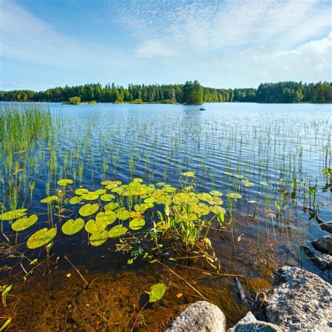 Premium Photo | Lake summer view Finland