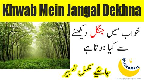 Khwab Mein Jangal Dekhna Ki Tabeer In Urdu Khwabmein