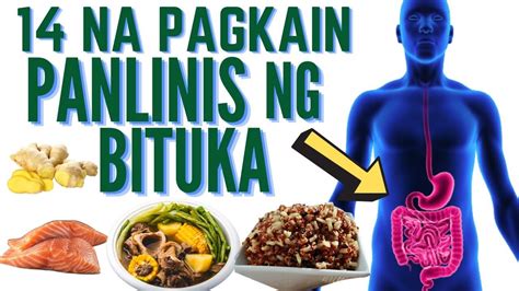 Mga Pagkain Na Panlinis Ng Bituka Halamang Gamot Prutas Gulay Na