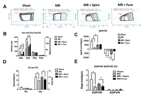 Cells Free Full Text Mineralocorticoid Receptor Antagonists