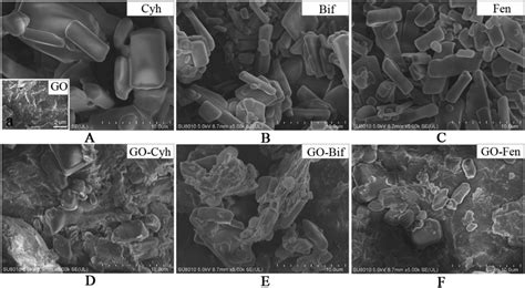 Morphology Characterization Of The Formulated GOpesticide